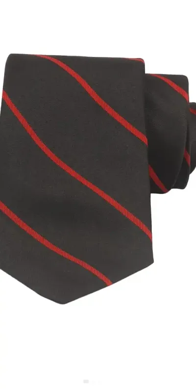 Elegant Black Tie For Men