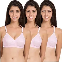 Niche Labels Presents Sexy Cotton Bra Pack of 6-thumb1