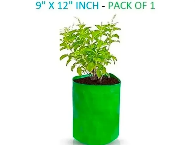 New Arrival Plant & Planters 