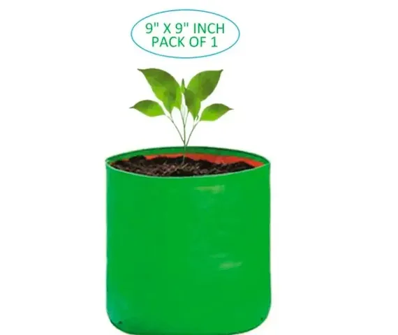 Limited Stock!! Plant & Planters 