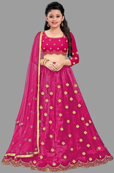 Beautiful Net Lehenga Cholis 