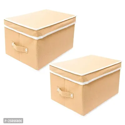 Beige Foldable Storage Container-Pack Of 2