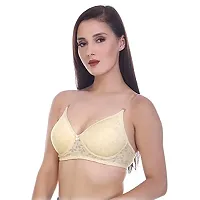 APURWA FASHION Women's Cotton Soft Padded Non-Wired Regular Bra (Multicolored Pack of 3)-thumb2