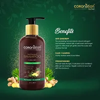 COROnation Herbal Anti Dandruff Shampoo with Tea Tree  Ginger Oil - 300 ml-thumb2