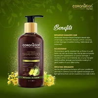 COROnation Herbal Hair Repair Shampoo with Linden Bud Extracts - 300 ml-thumb1