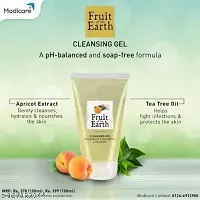 Fruit Of The Earth Cleansing Gel With Apricot  Tea Tree Oil- 150 ml PACK OF 2-thumb2