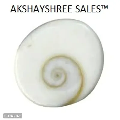 Akshayshree Sales Original Medium Size Gomti Chakra/Pure Shell Gomatichakra/गोमती चक्र for Vastu and Laxmi Pooja (Pack of 1-51 pcs)