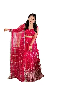 Girls Embroidered Wedding Wear Lehenga Choli-thumb2