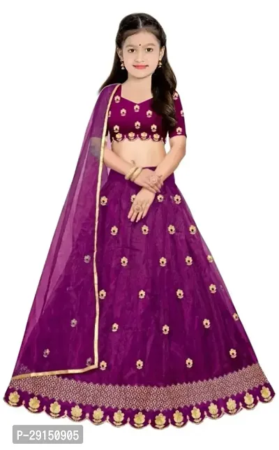 Girls Net Embroidered Latest Designer Party wear Lehenga Choli