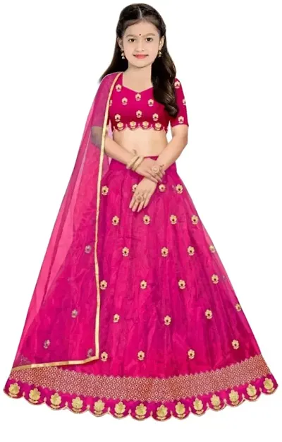 Beautiful Net Lehenga Cholis 