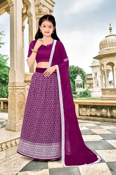 Best Selling Net Lehenga Cholis 