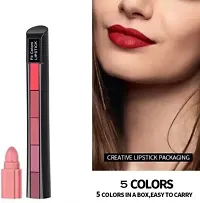 Combo Pack 5 in 1 Lipstick Red  Pink  Waterproof Smudgeproof With Long Stay Smooth Finish-thumb3