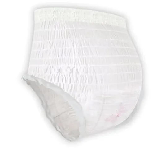 Buy Whisper Bindazzz Night Period Panty, 2 M-L Panties