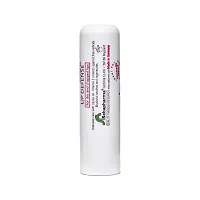 Sebamed Lip Defense, 4.8g For Dry  Chapped Lips With SPF 30 With Jojoba Oil  Vitamin E-thumb2