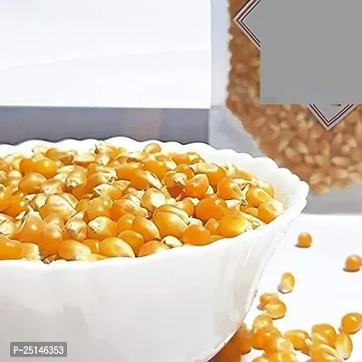 Popcorn Seeds  100% Popping Kernels - Popcorn kernels soft, Butterfly Popcorn Maize , Corn Kernels , Pop-Corn makka (Makai)100GM