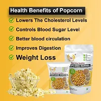 Popcorn Seeds  100% Popping Kernels - Popcorn kernels soft, Butterfly Popcorn Maize , Corn Kernels , Pop-Corn makka (Makai)100GM-thumb2