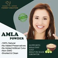 Amla powder Indian Gooseberry Powder for Hair Growth 250 Gram-thumb2