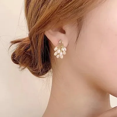 Fancy Earrings 