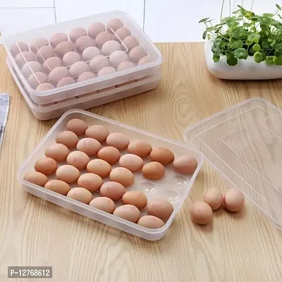 Multipurpose Plastic Storage 24 Egg Single Layer Egg Tray with Airtight Outdoor Egg Storage Container-thumb0