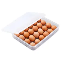 Multipurpose Plastic Storage 24 Egg Single Layer Egg Tray with Airtight Outdoor Egg Storage Container-thumb2