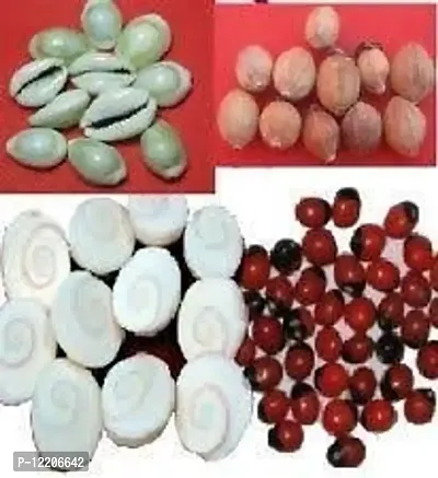 Mahalakshmi Kit (Gomti Chakra, Red Gunja, Yellow Cowrie, Kamal Beej, Small Shriphal)