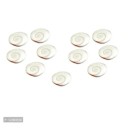 Ankita Gemstones 11 Pcs Energized Gomati Chakra for Peace and Prosperity,Gomti Chakra, Energized Gomti Chakra