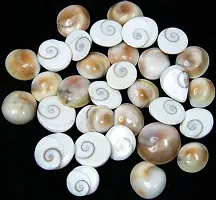 Odisha Ayurved Hub Very Rare Natural Gomati Chakra - 11 Pieces-thumb1