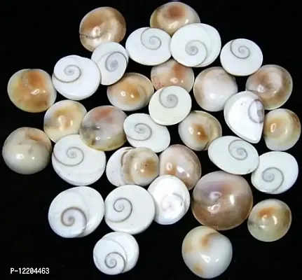 Odisha Ayurved Hub Very Rare Natural Gomati Chakra - 11 Pieces-thumb2