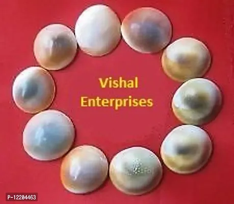 Odisha Ayurved Hub Very Rare Natural Gomati Chakra - 11 Pieces