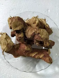 Ambe Ayurveda - Kulanjan mul - Alpinia Galanga - vacha root - ?????? ??? - 100gm-thumb1