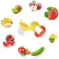 Fruit and Food Nibbler  Feeding Pacifier Feeder-thumb1