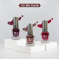 High quality Metallic-Coffee-Maroon-Dark-Red Nail Polish Combo-thumb4