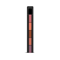 5in 1lipsticks combo pack of 2-thumb2