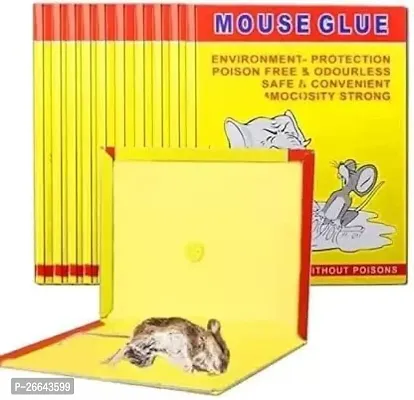 No Smell, Non Poisonous, Easy to Use Rat/Mouse Glue Pad Insect Rodent Lizard Trap Rat Catcher Adhesive Sticky Glue Pad, Non Poisonous, Non Toxic, Odorless (Pack of 10)-thumb0