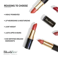 Organic Natural Vegan Lipstick Suitable for all skin types-thumb3