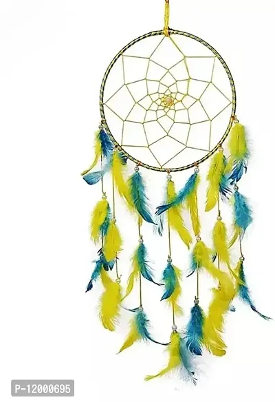 Designer Feather Wall Hangings