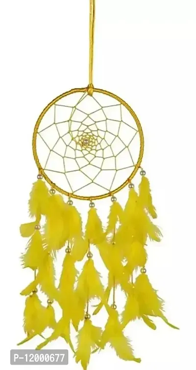 Designer Feather Wall Hangings-thumb0