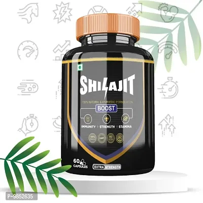 Divyashree Shilajit Capsule for Stamina and Strength | Sexual Wellness  Immunity | Vigor  Vitality For Men  Women | Shilajit / Shilajeet Capsule for Good Health - 60 Capsules Jeevan Care Ayurveda-thumb0