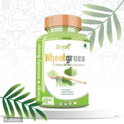 Divya Shree Wheatgrass Capsule Natural Supplement, Pure  Unprocessed Made Using Premium Ingredients, Helpful in losing weight 60 Capsule, Jeevan Care Ayurveda