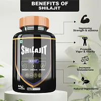 Divyashree Shilajit Capsule for Stamina and Strength | Sexual Wellness  Immunity | Vigor  Vitality For Men  Women | Shilajit / Shilajeet Capsule for Good Health - 60 Capsules Jeevan Care Ayurveda-thumb1