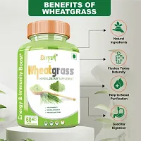 Divya Shree Wheatgrass Capsule Natural Supplement, Pure  Unprocessed Made Using Premium Ingredients, Helpful in losing weight 60 Capsule, Jeevan Care Ayurveda-thumb2