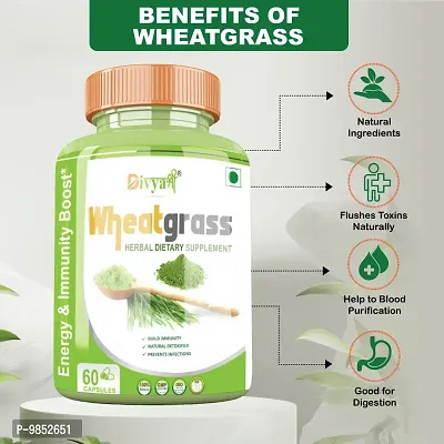 Divya Shree Wheatgrass Capsule Natural Supplement, Pure  Unprocessed Made Using Premium Ingredients, Helpful in losing weight 60 Capsule, Jeevan Care Ayurveda-thumb3