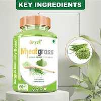 Divya Shree Wheatgrass Capsule Natural Supplement, Pure  Unprocessed Made Using Premium Ingredients, Helpful in losing weight 60 Capsule, Jeevan Care Ayurveda-thumb3