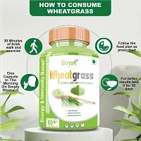 Divya Shree Wheatgrass Capsule Natural Supplement, Pure  Unprocessed Made Using Premium Ingredients, Helpful in losing weight 60 Capsule, Jeevan Care Ayurveda-thumb4