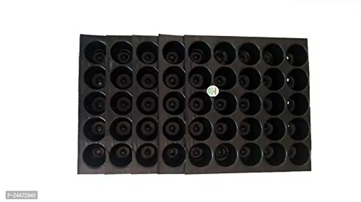 Mats Avenue Plastic Reusable Seedling Tray ( 5x5 cm Cavity , Pack of 5 Total 125 Holes-25 Holes in One Tray , Big Size )