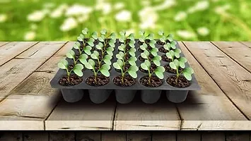 Mats Avenue Plastic Reusable Seedling Tray ( 5x5 cm Cavity , Pack of 5 Total 125 Holes-25 Holes in One Tray , Big Size )-thumb1