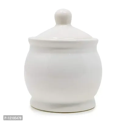 The Himalayan Goods Company 300 ml Ceramic Kitchen Container Tea Coffee Sugar Spice Pickle Jar (White)