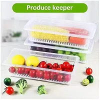 Useful Plastic Food Storage Container Pack Of 3-thumb3