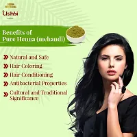 USHBI-Pure Henna Powder (from Rajasthan) 500g for hair and body parts-thumb2