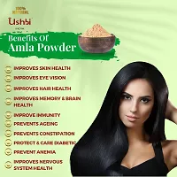 USHBI?Amla + Reetha Powder | Combo of 2 |100g each | For Hair Care |For damaged hair | Anti dullness | No chemial Only Pure  Natural | 200 Gram-thumb3